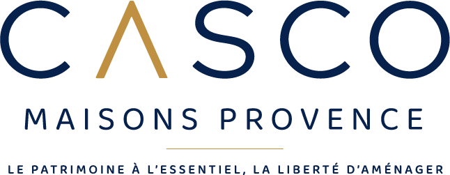 logo-casco-color